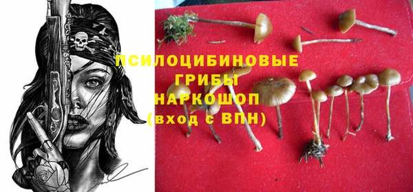 мяу мяу мука Арсеньев