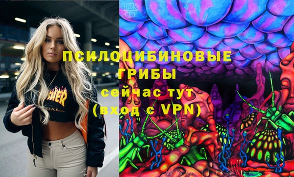МДПВ Армянск