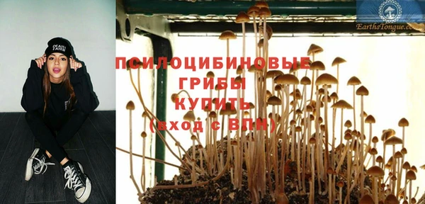 МДПВ Армянск