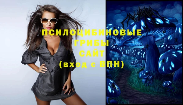МДПВ Армянск