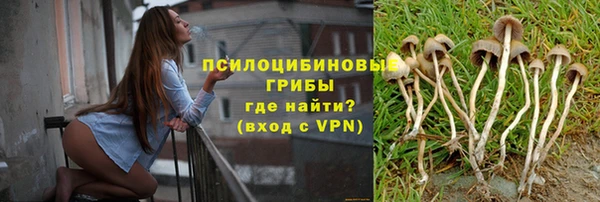 МДПВ Армянск