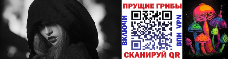 blacksprut зеркало  Рудня  Галлюциногенные грибы мухоморы  сколько стоит 